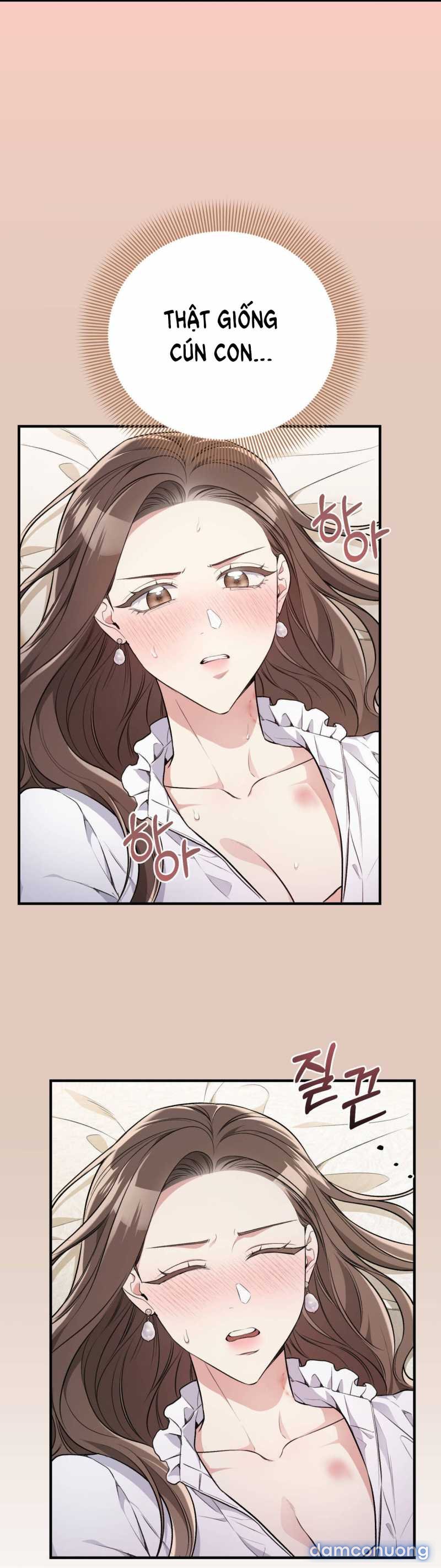 [18+] Cướp Dâu 