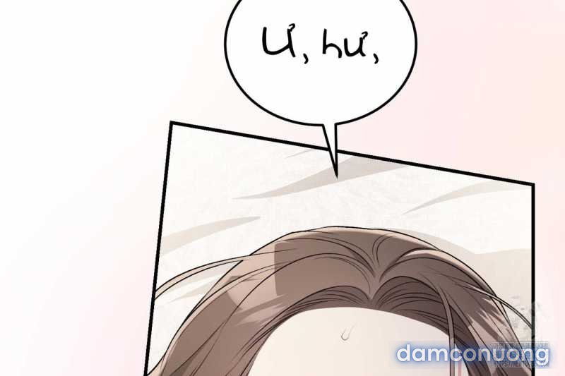 [18+] Cướp Dâu 
