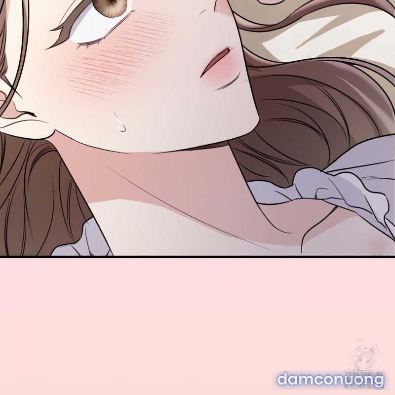 [18+] Cướp Dâu 