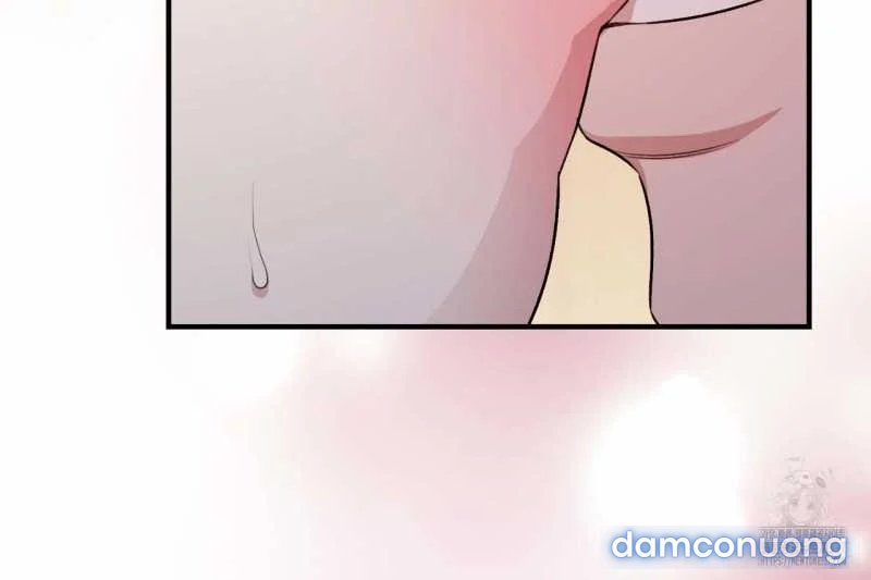 [18+] Cướp Dâu 