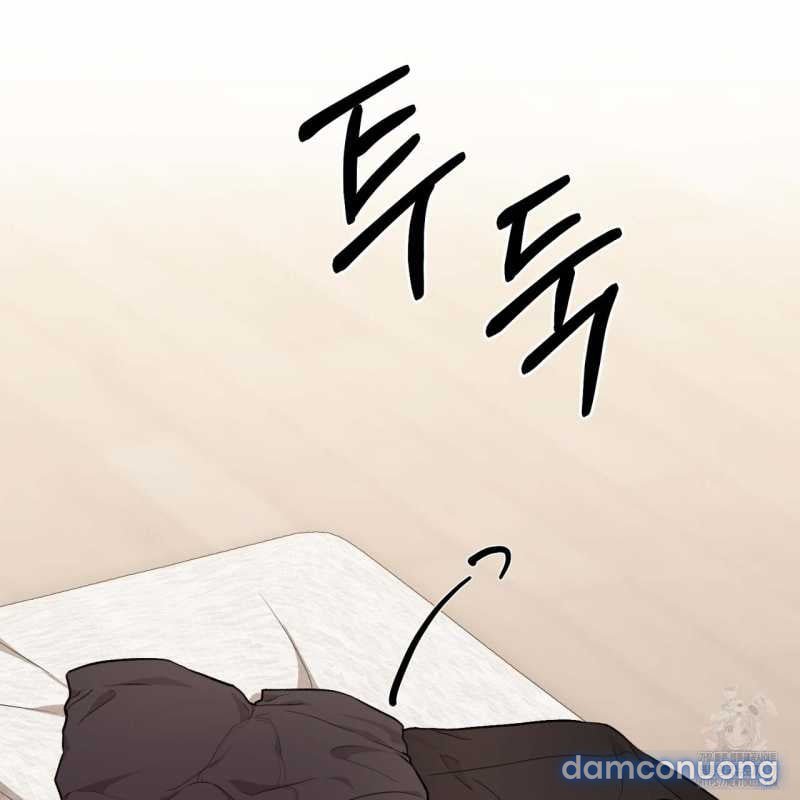 [18+] Cướp Dâu 