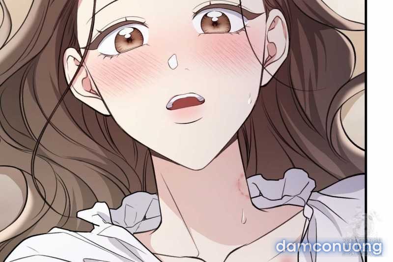 [18+] Cướp Dâu 