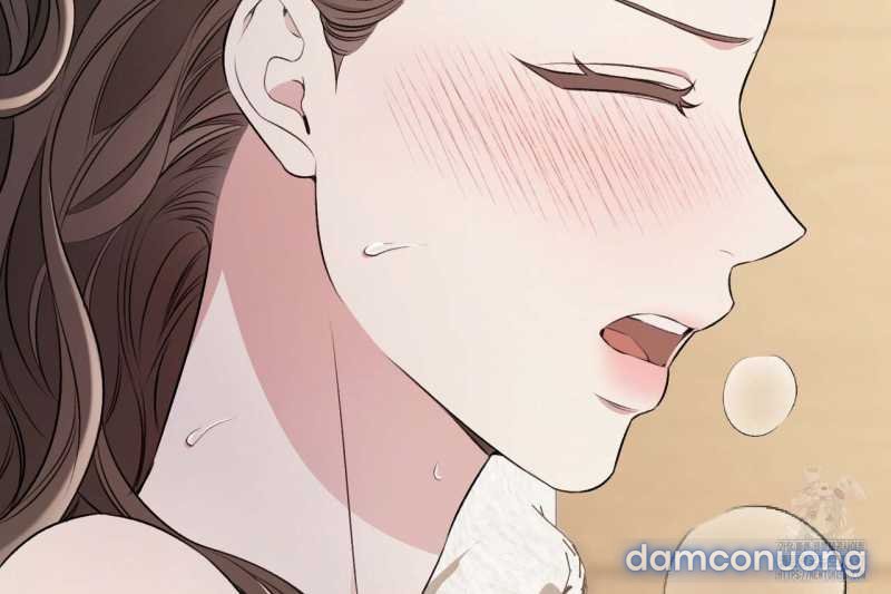 [18+] Cướp Dâu 