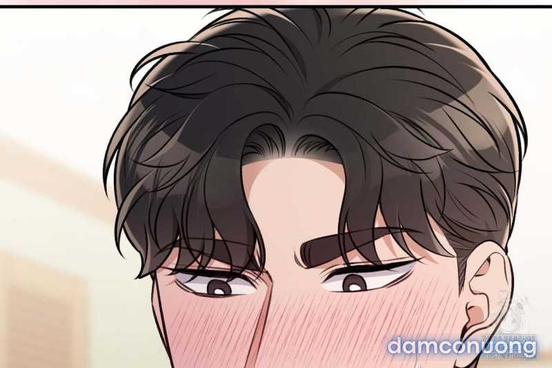 [18+] Cướp Dâu 