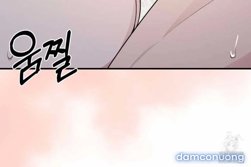 [18+] Cướp Dâu 