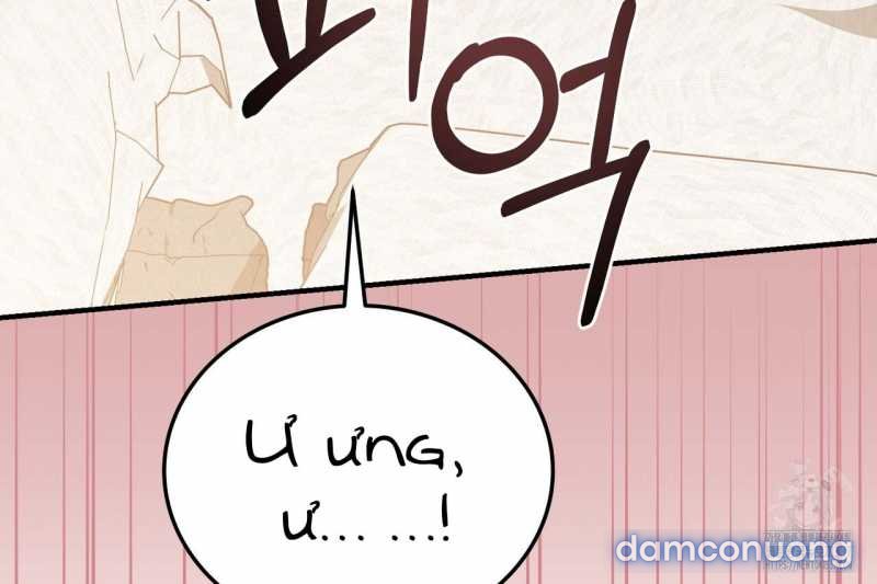 [18+] Cướp Dâu 