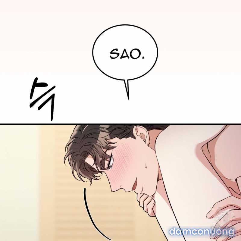 [18+] Cướp Dâu 