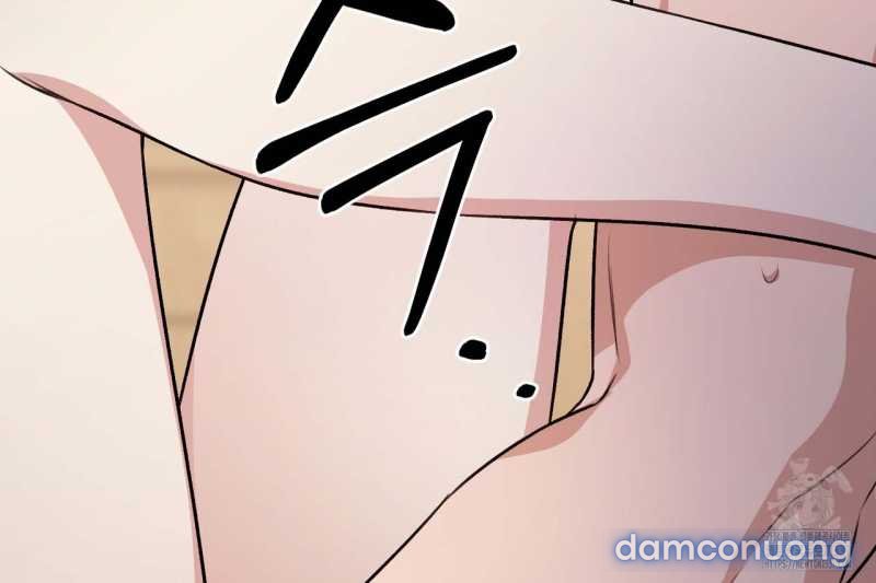 [18+] Cướp Dâu 