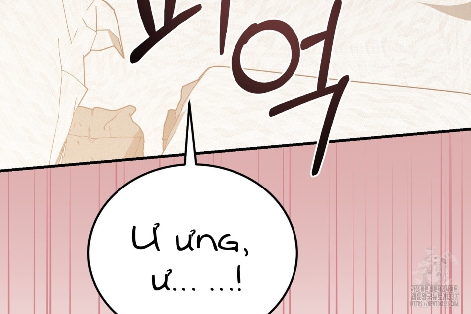[18+] Cướp Dâu 