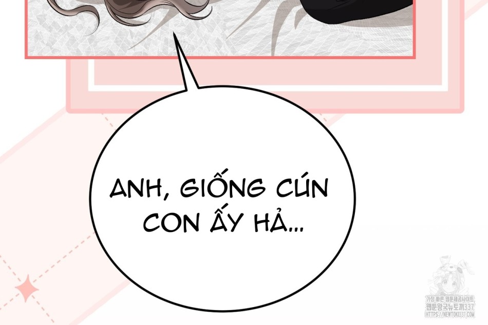 [18+] Cướp Dâu 