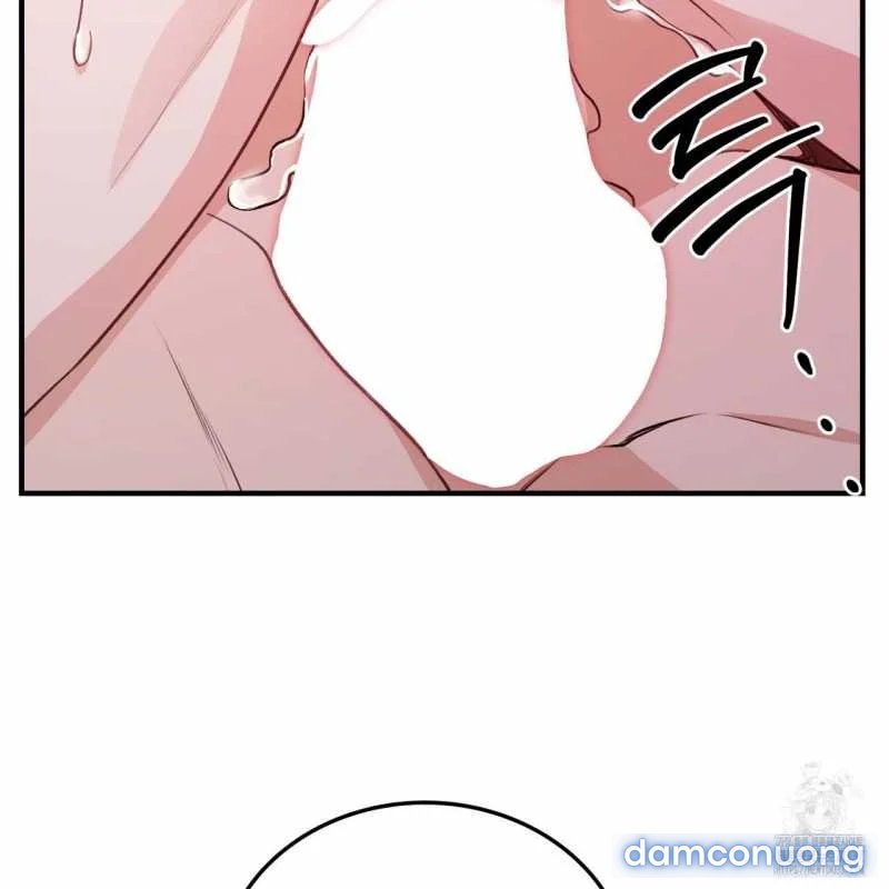 [18+] Cướp Dâu 