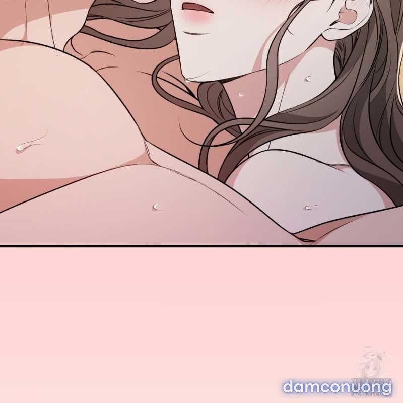 [18+] Cướp Dâu 