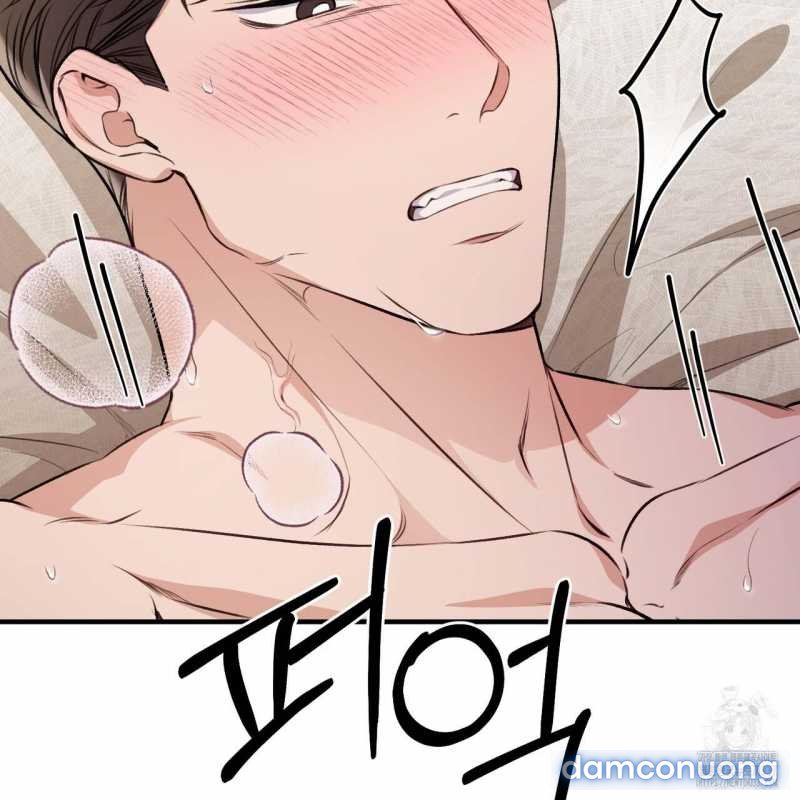 [18+] Cướp Dâu 