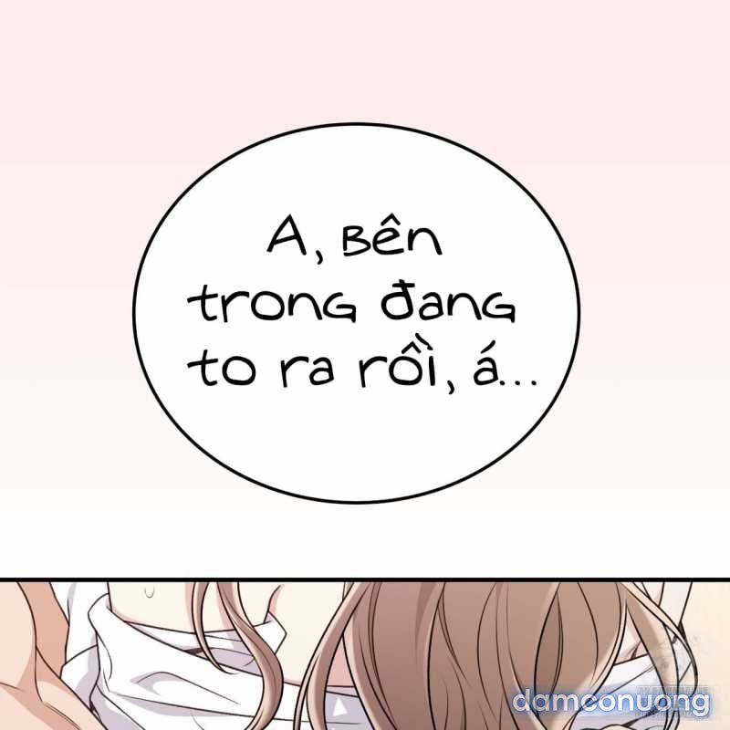 [18+] Cướp Dâu 