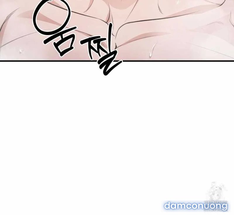 [18+] Cướp Dâu 