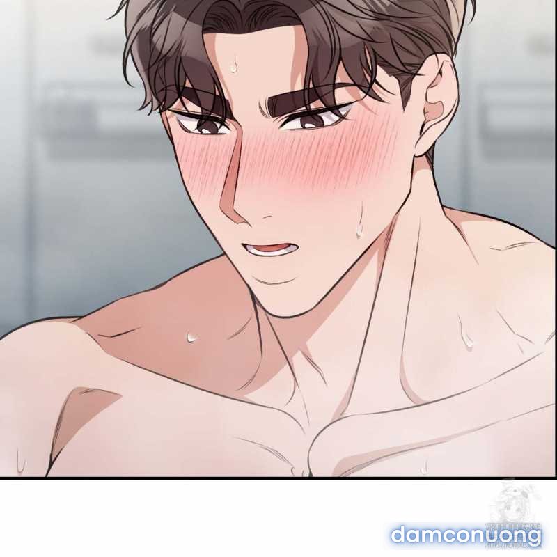 [18+] Cướp Dâu 