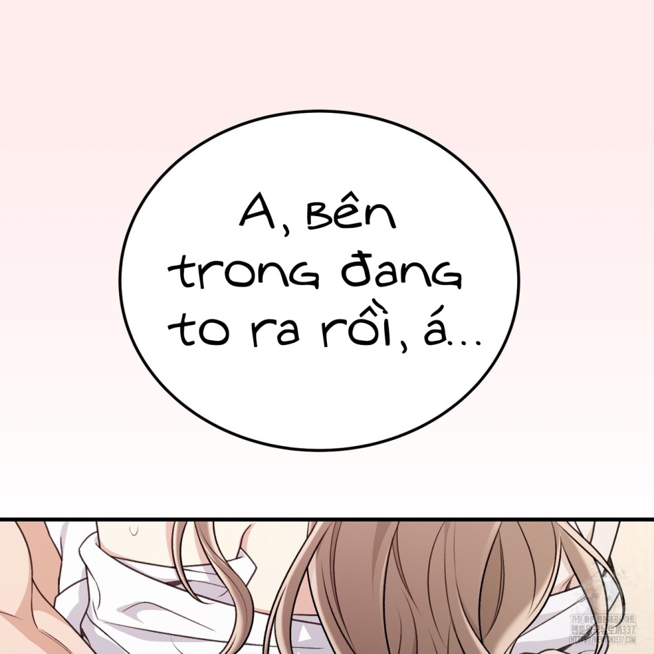 [18+] Cướp Dâu 