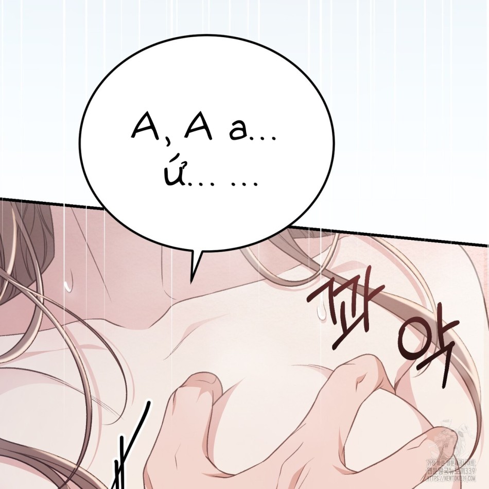 [18+] Cướp Dâu 