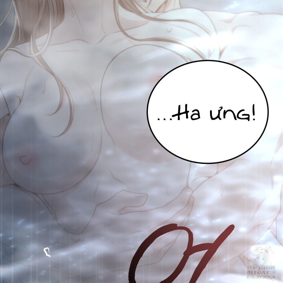 [18+] Cướp Dâu 
