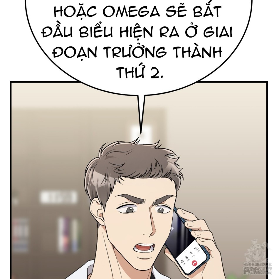 [18+] Cướp Dâu 
