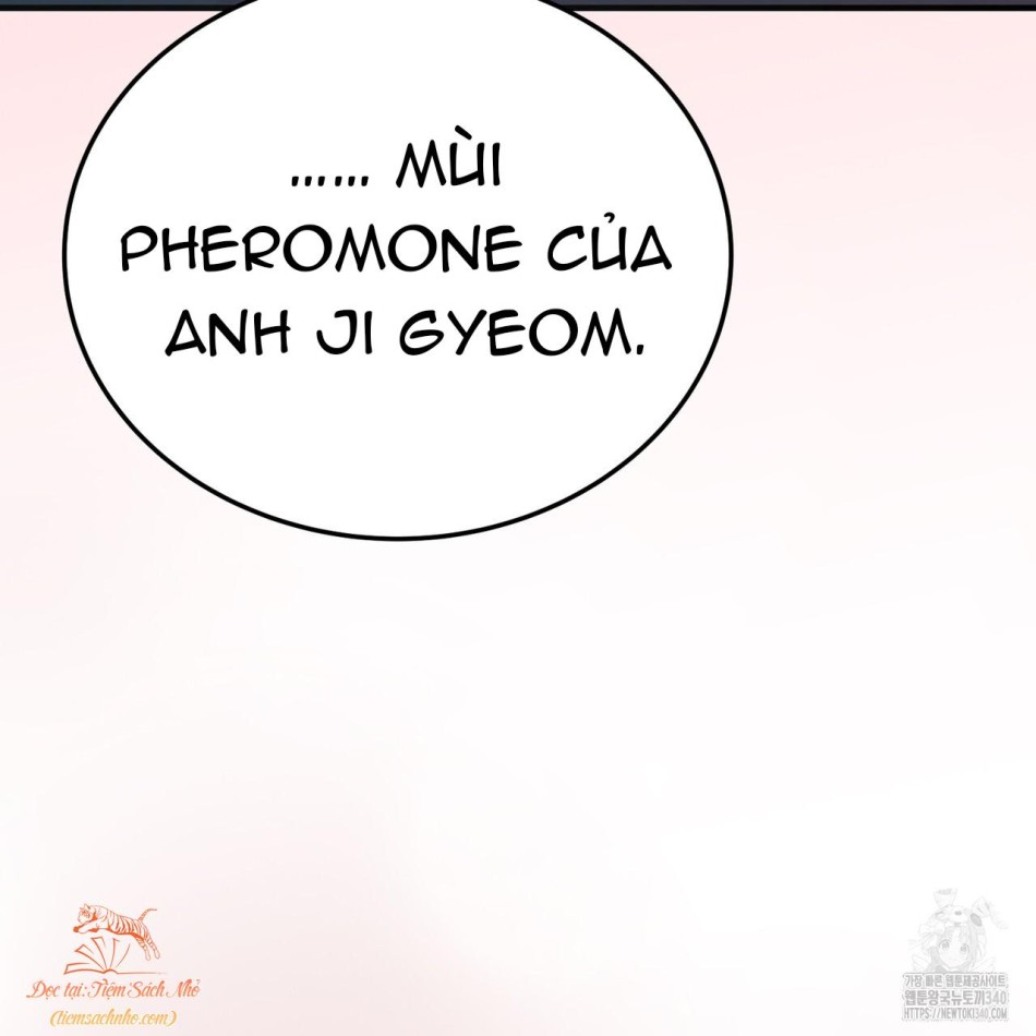 [18+] Cướp Dâu 