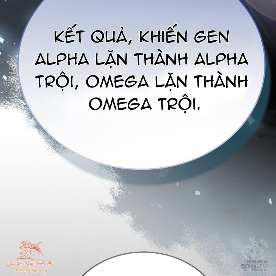 [18+] Cướp Dâu 