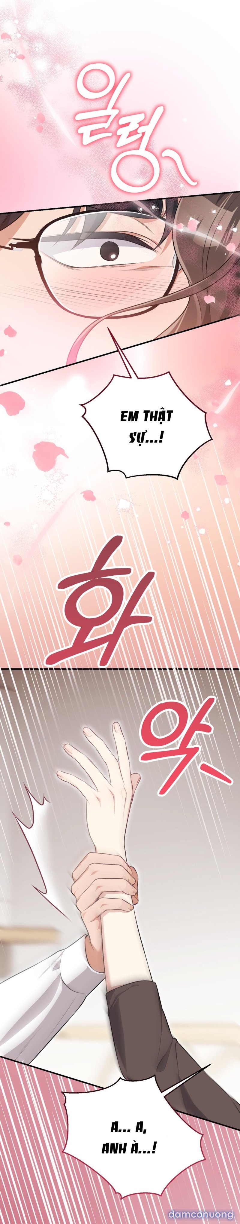 [18+] Cướp Dâu 