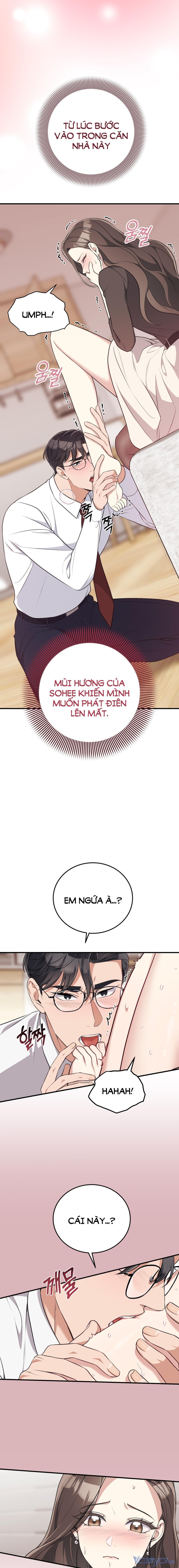[18+] Cướp Dâu 