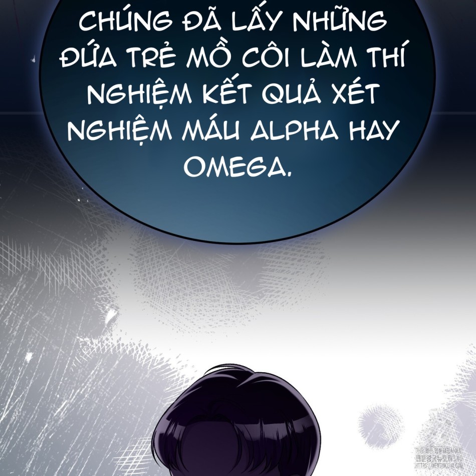 [18+] Cướp Dâu 