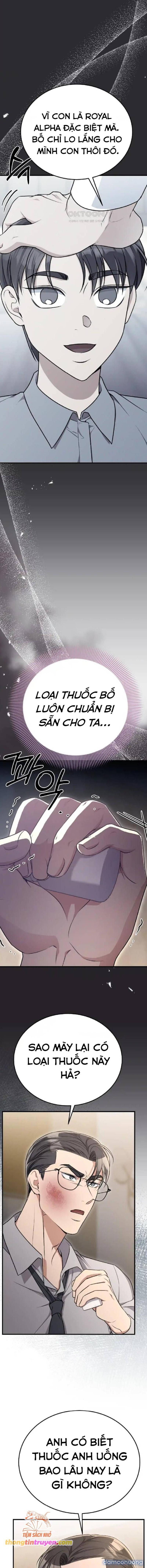 [18+] Cướp Dâu 