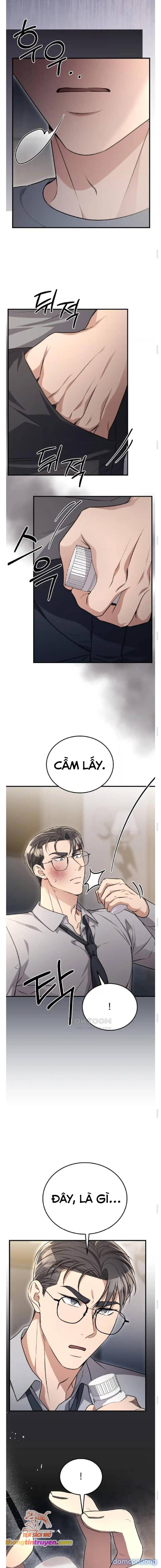 [18+] Cướp Dâu 
