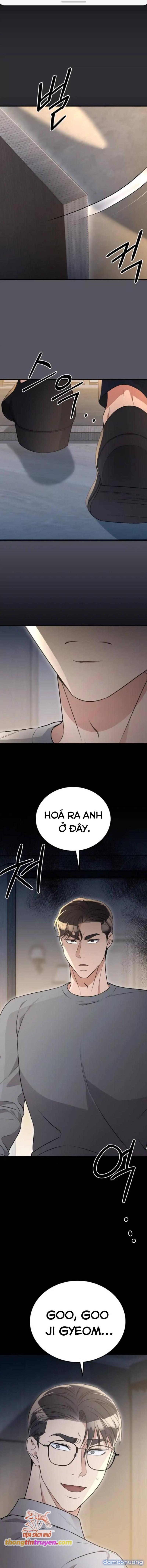 [18+] Cướp Dâu 