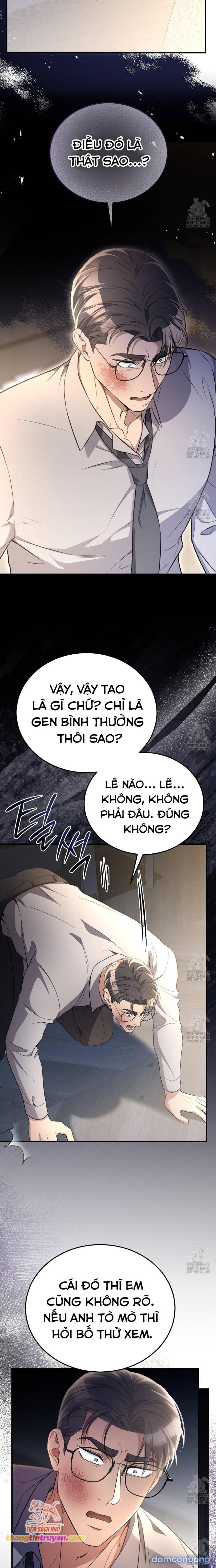 [18+] Cướp Dâu 