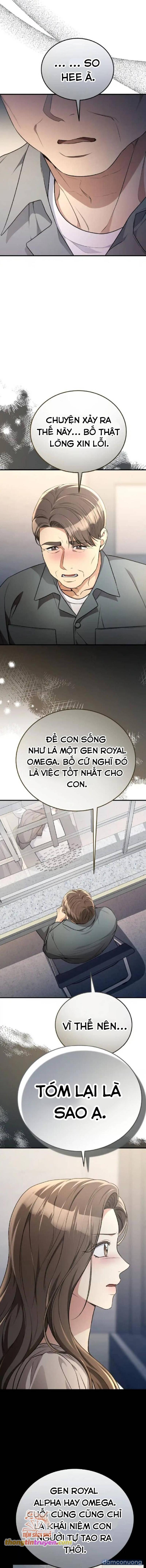 [18+] Cướp Dâu 