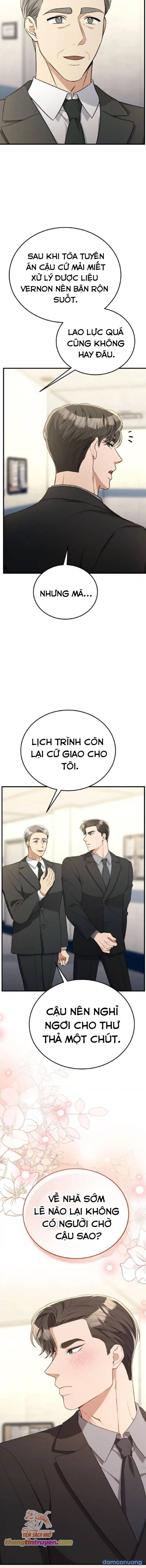 [18+] Cướp Dâu 