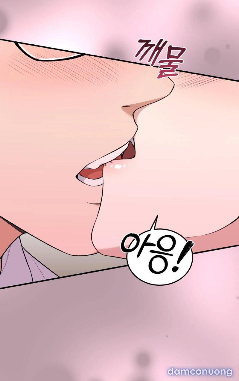 [18+] Cướp Dâu 