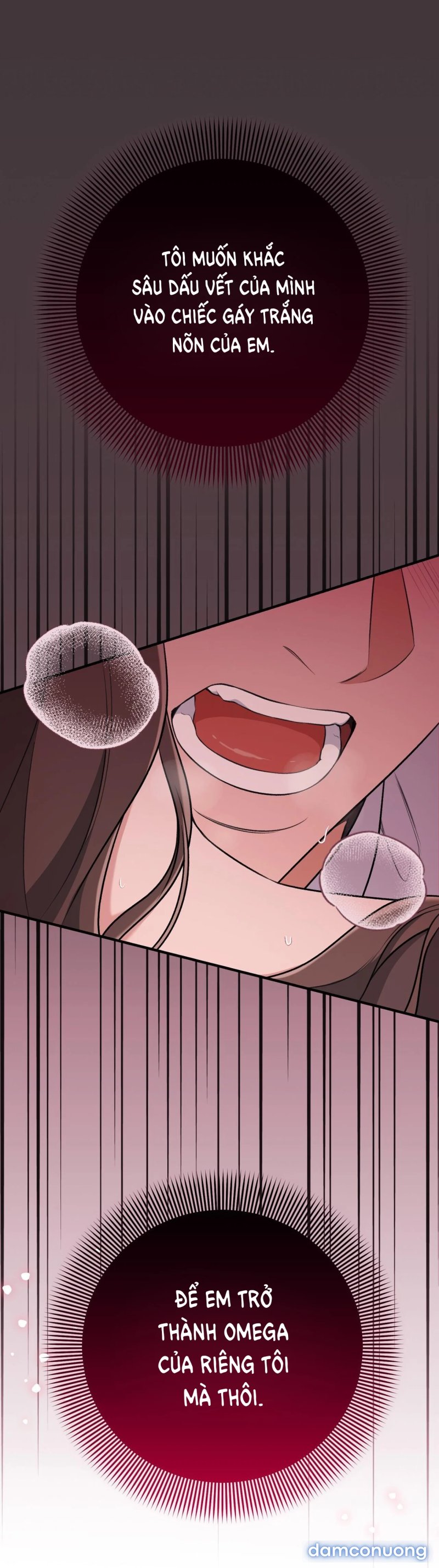 [18+] Cướp Dâu 