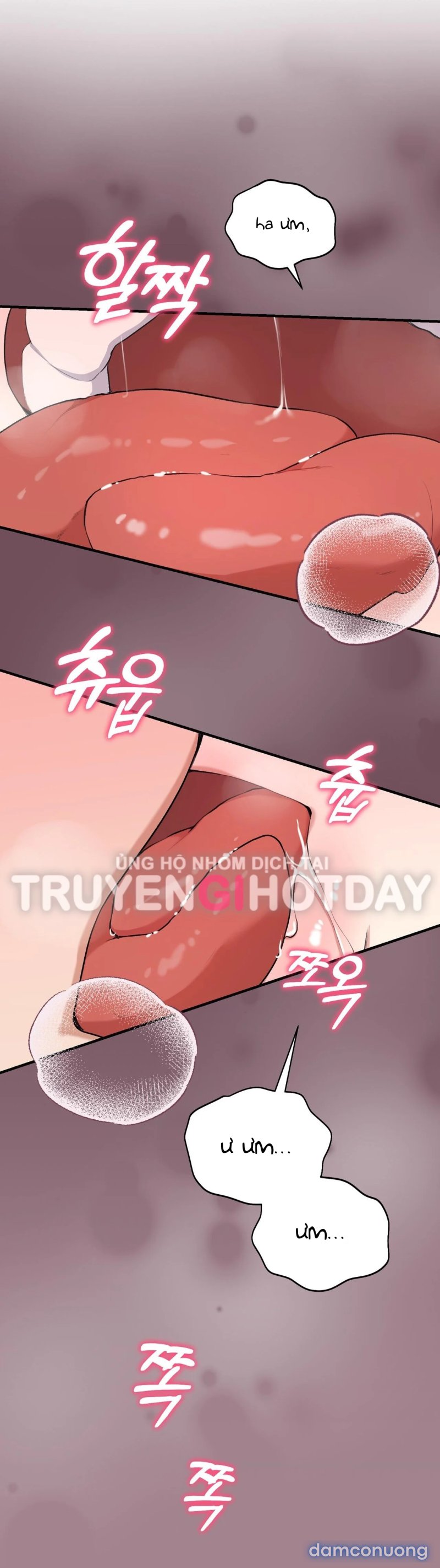 [18+] Cướp Dâu 