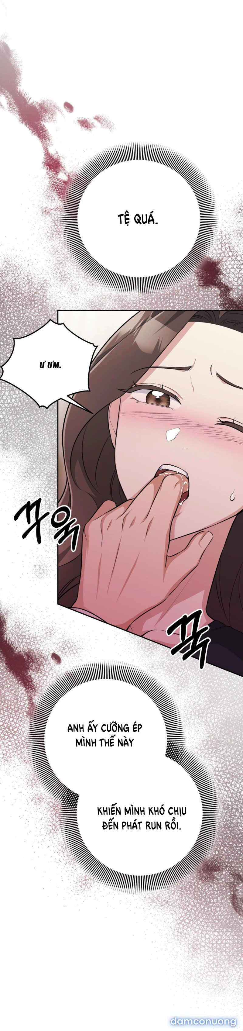 [18+] Cướp Dâu 