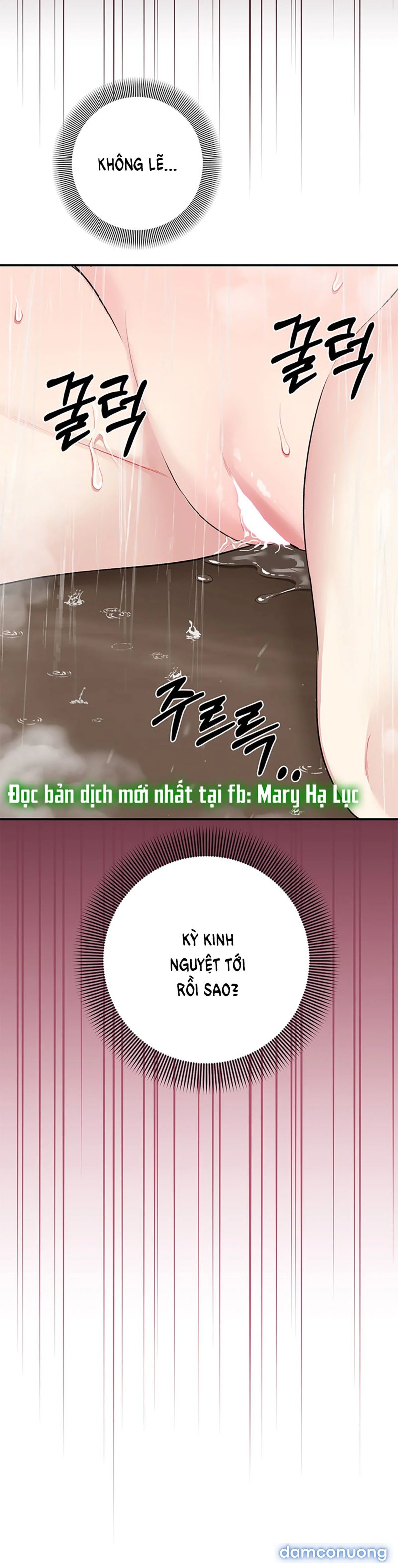 [18+] Cướp Dâu 