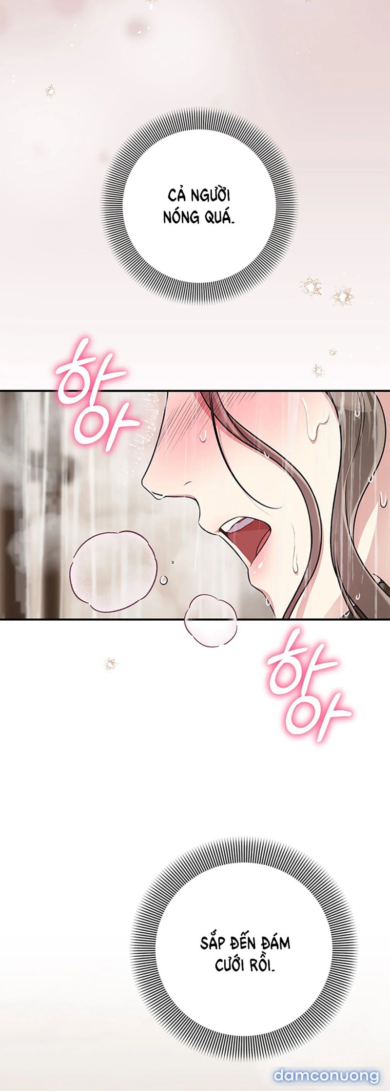 [18+] Cướp Dâu 