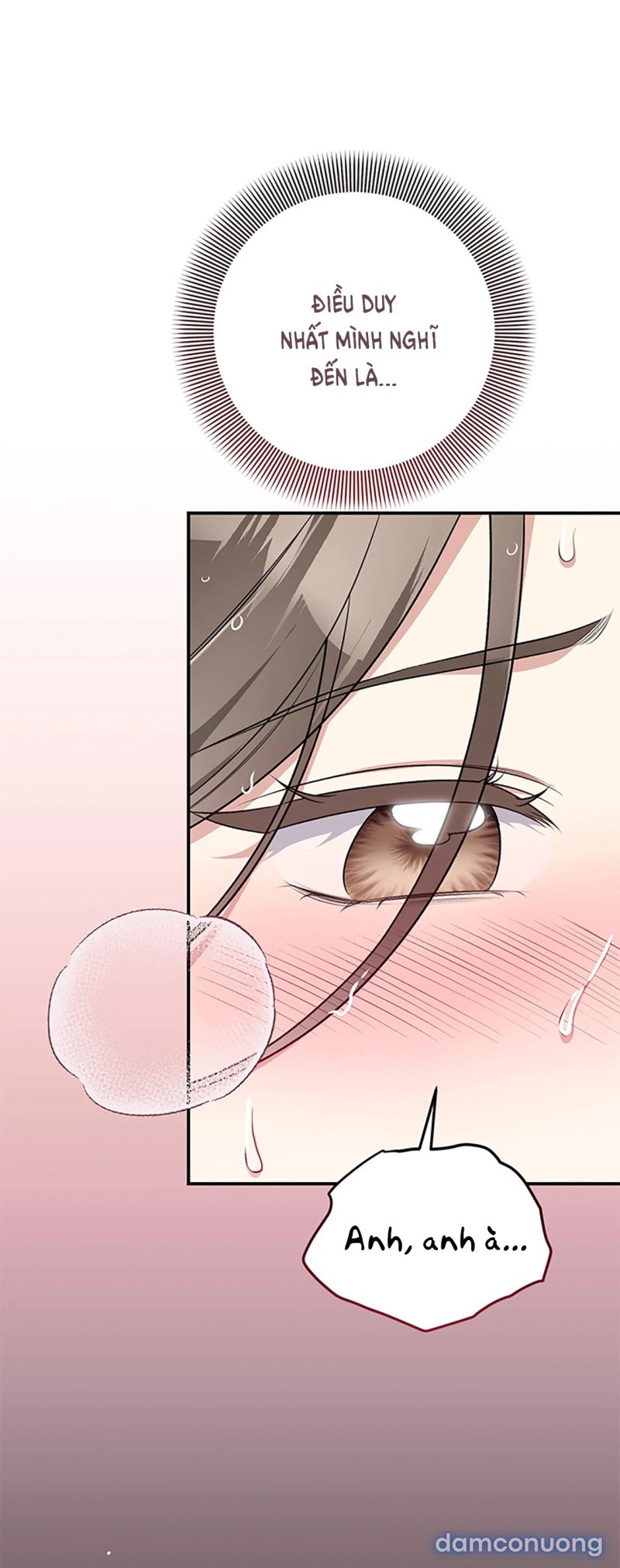 [18+] Cướp Dâu 