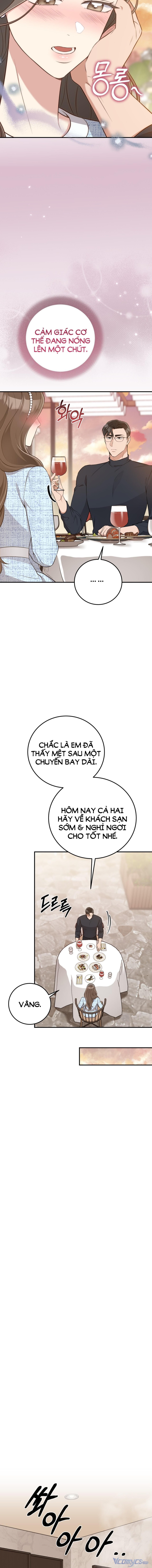 [18+] Cướp Dâu 