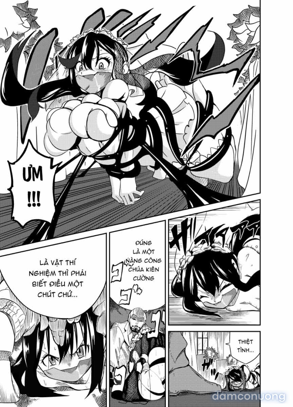 魔法使いの受難 