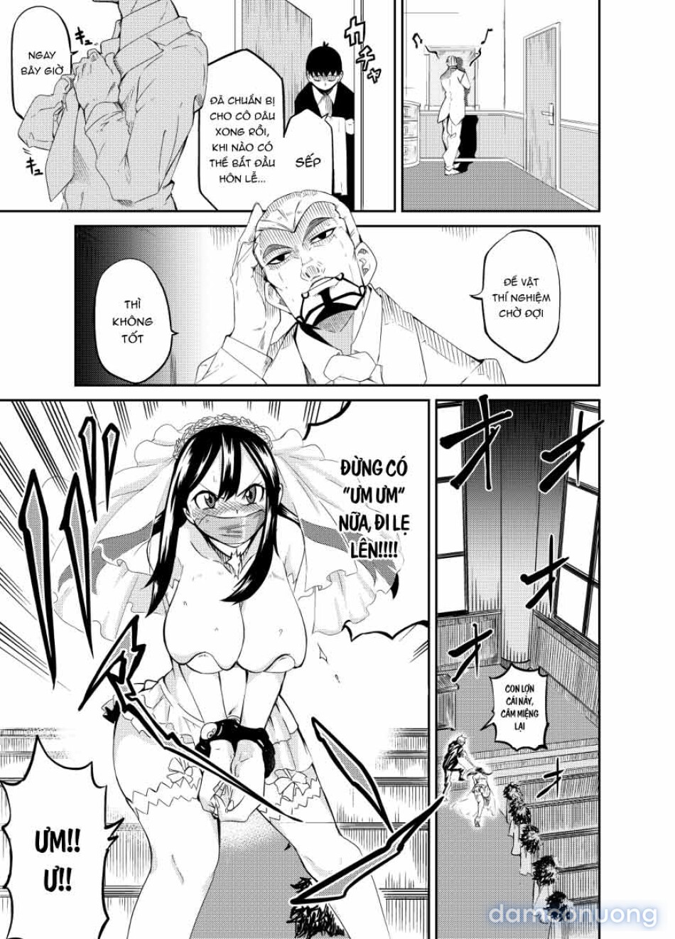 魔法使いの受難 