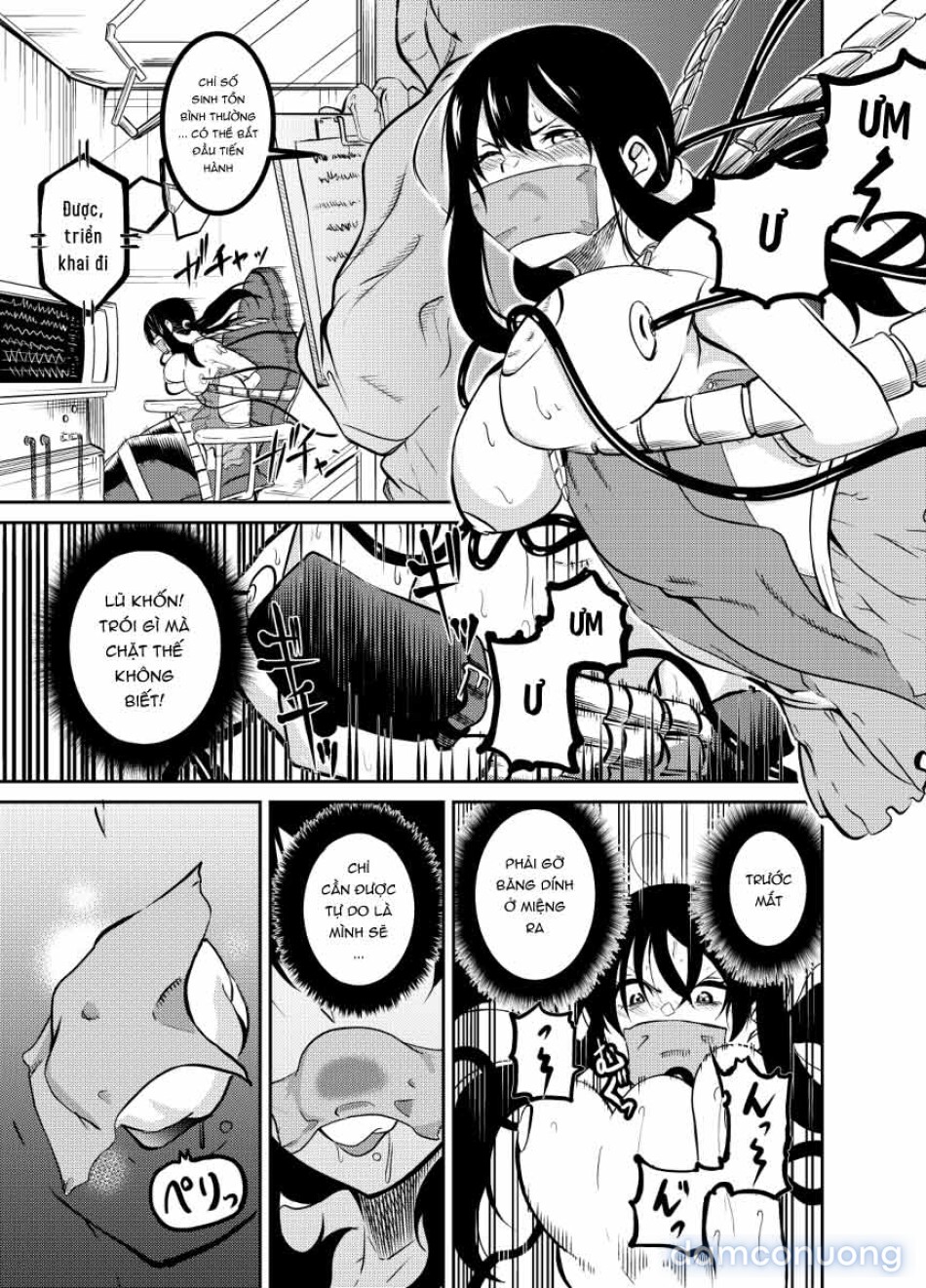 魔法使いの受難 