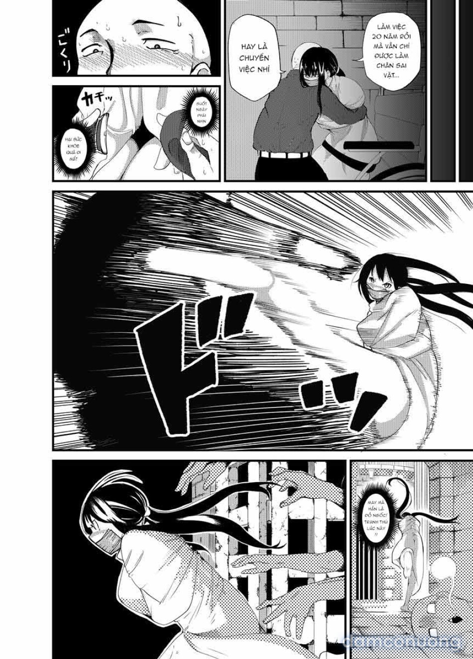 魔法使いの受難 