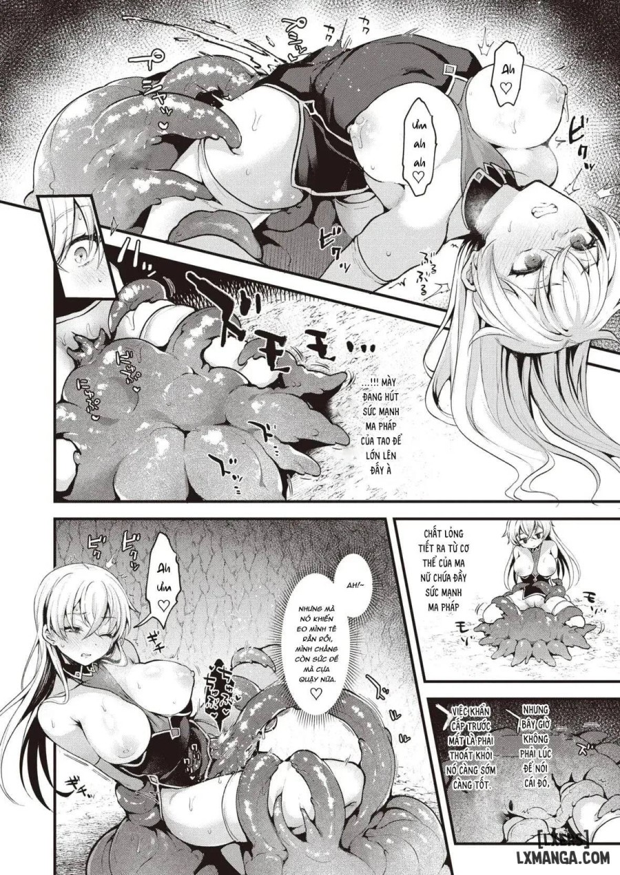 The Witch Secret 