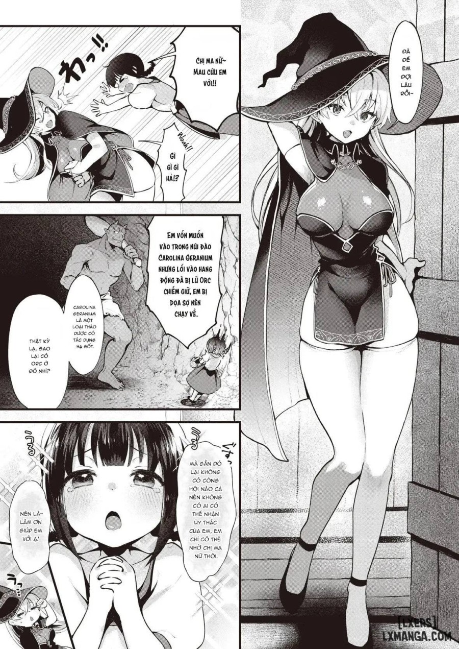 The Witch Secret 