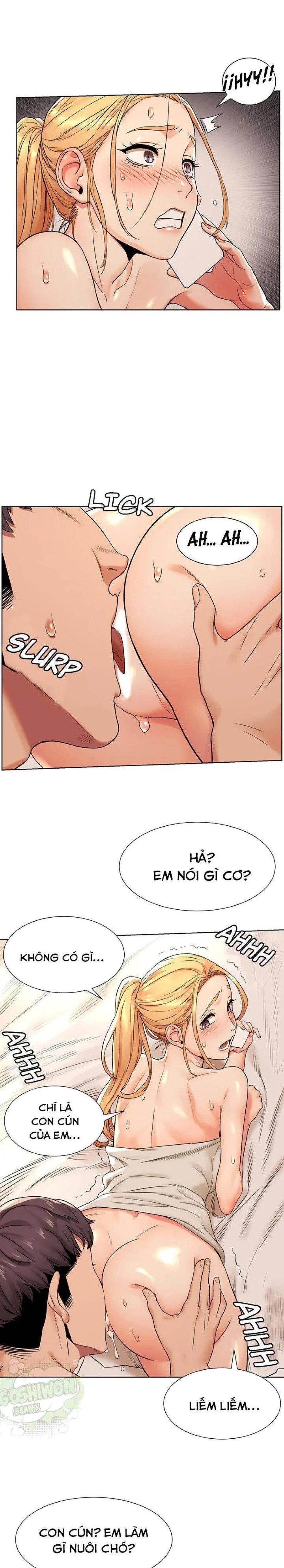 Vương Quốc Của Tôi 